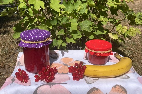 Johannisbeermarmelade in Gläsern mit Obst dekoriert